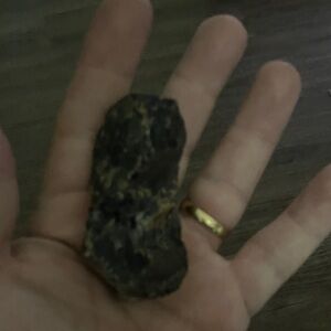 Fossilized tree resin